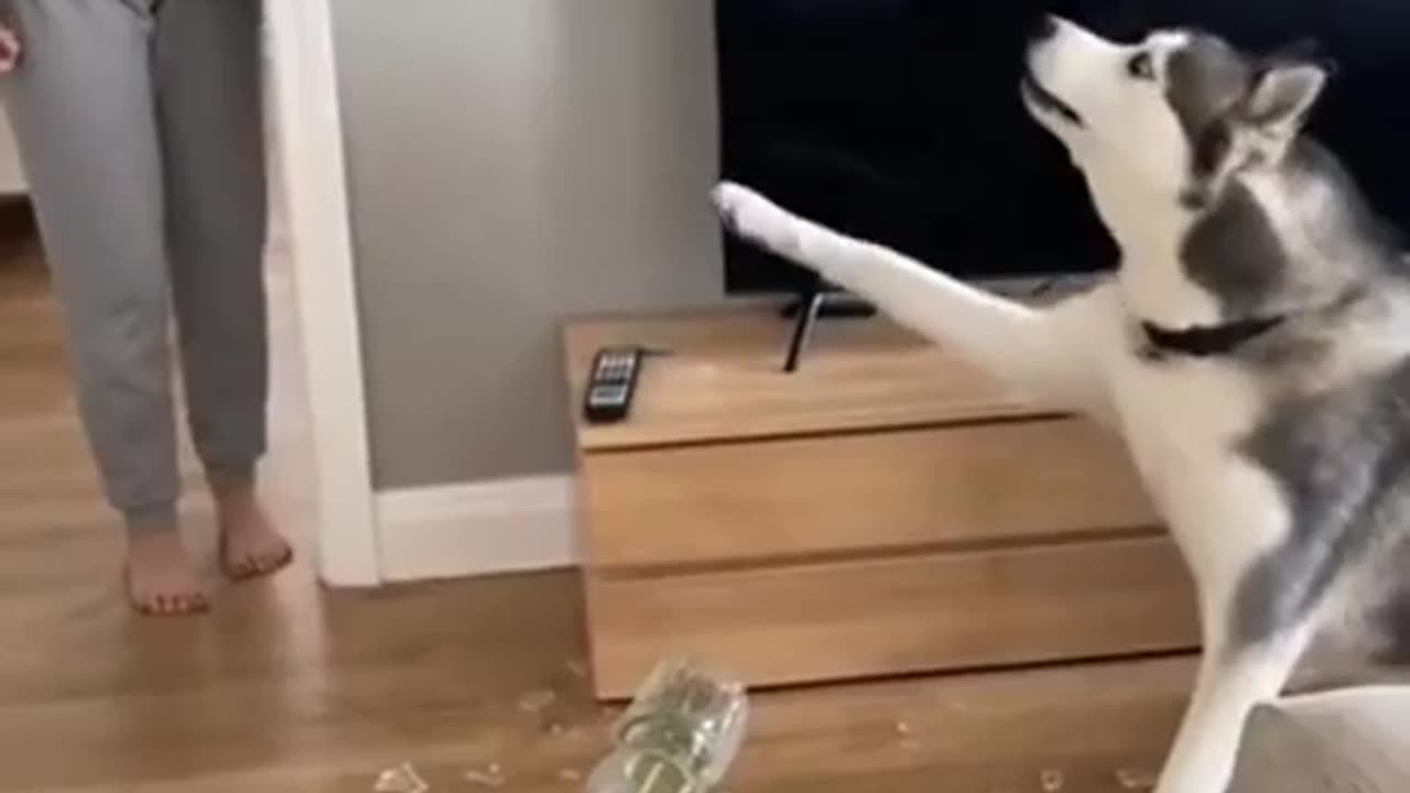 😂🤣 Wait Wait... Let me explain! | FunFM