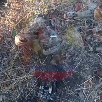 Ukraine war combat footage 9/11/25