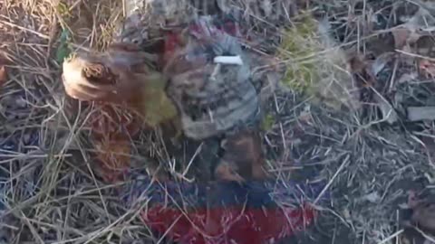 Ukraine war combat footage 9/11/25