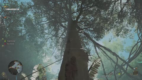 Catching endemic life