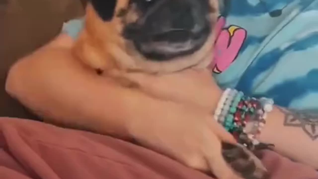 So funny