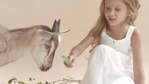 Wild Animals! #animal #cute #wildtv #shorts #trendingshorts