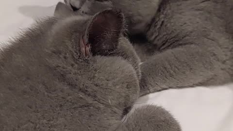 💕😂 This Love is So Pure, It'll Melt Your Heart! | FunFM