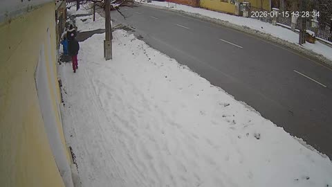 Tarcalon kóborló kutyák!!!