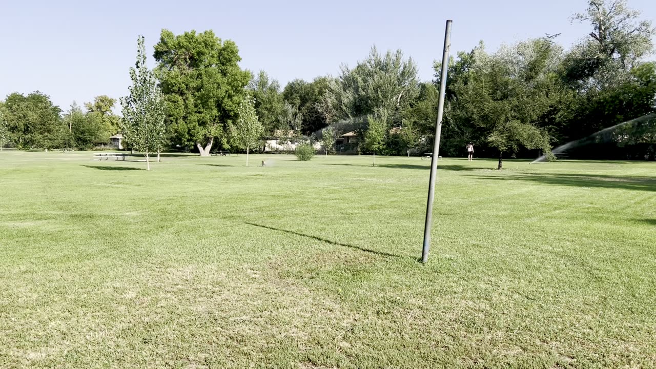 Tokala vs the sprinklers 239084209348