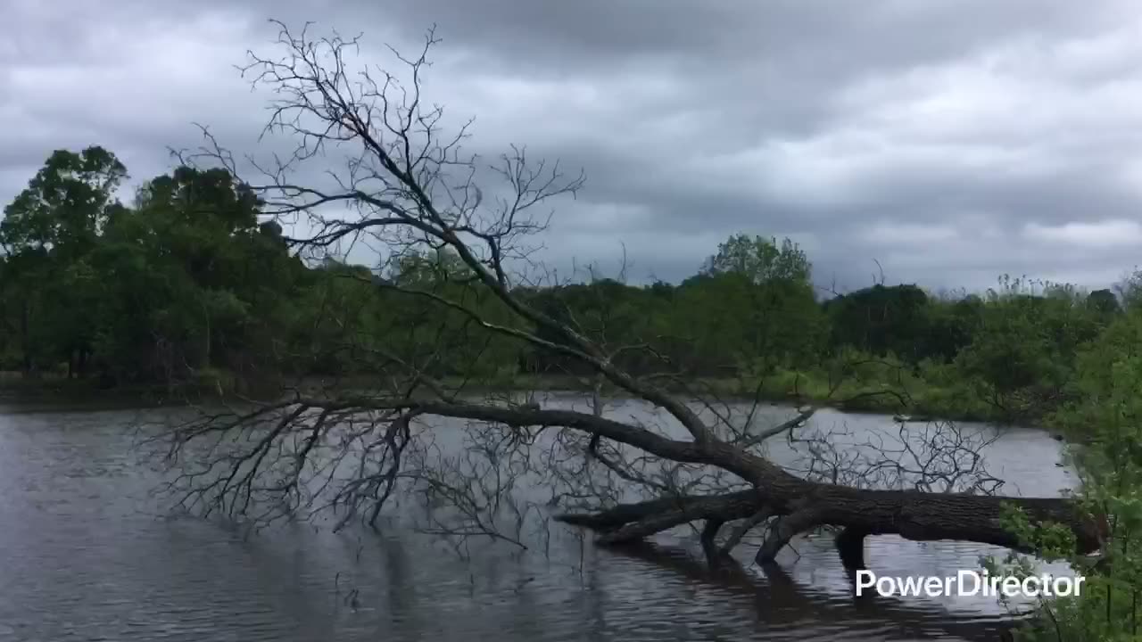 The pond is full, too full..