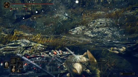 Elden Ring - Shadow of the Erdtree | Ghostflame Dragon field boss with Mimic Tear on NG
