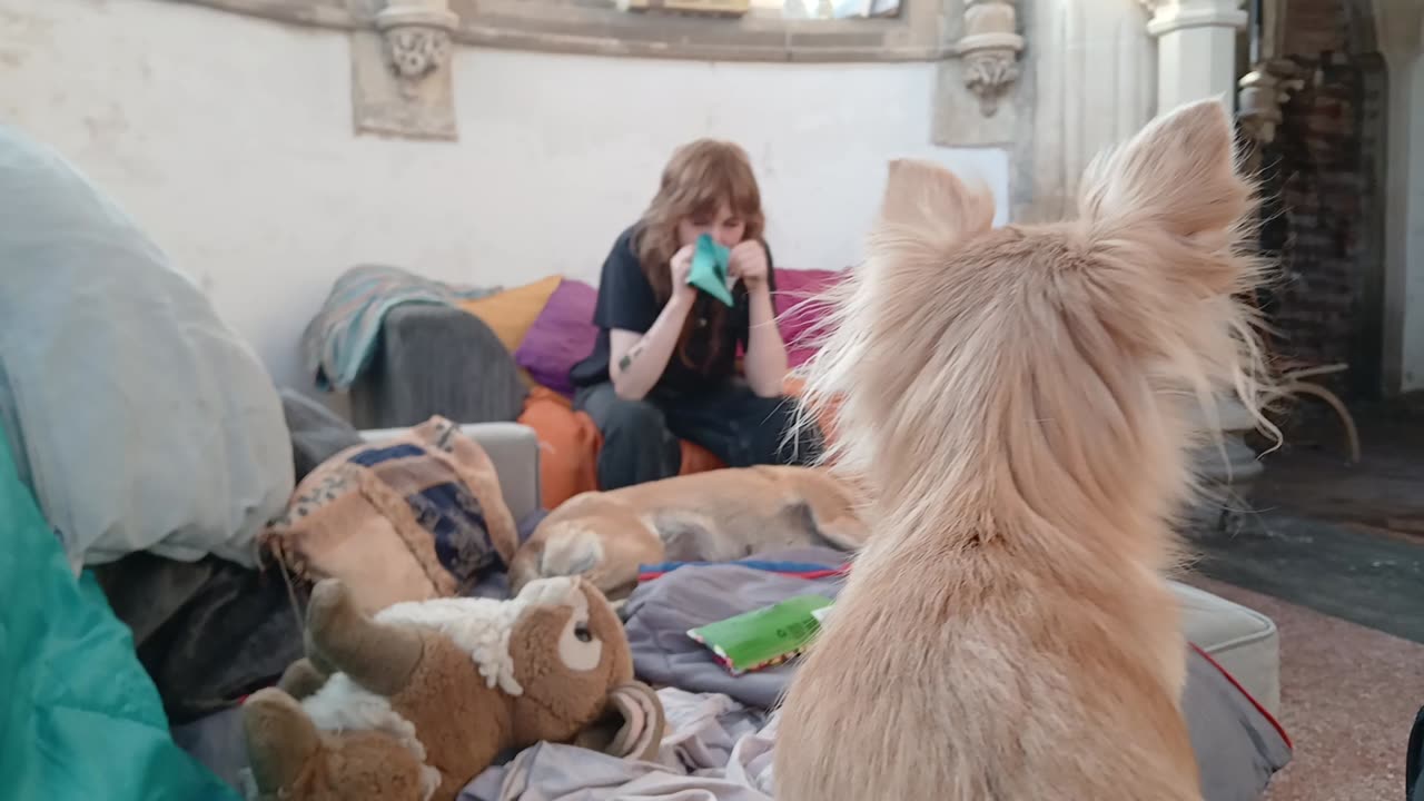 Lily seems to like serpentine whatever they are