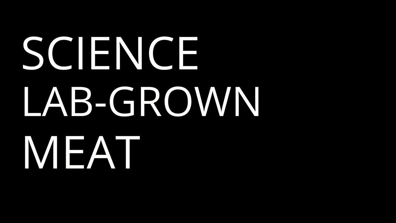 The Ethical Dilemma of Lab-Grown Meat: Are We Ready to Rethink Our Plates? - Part 2