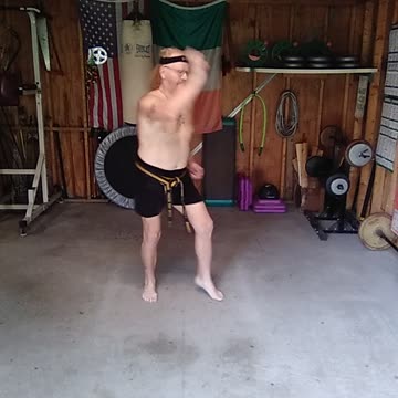 Orange Tiger Form Breakdown #1 , After a 2 hour work out in 101F real feel !!!