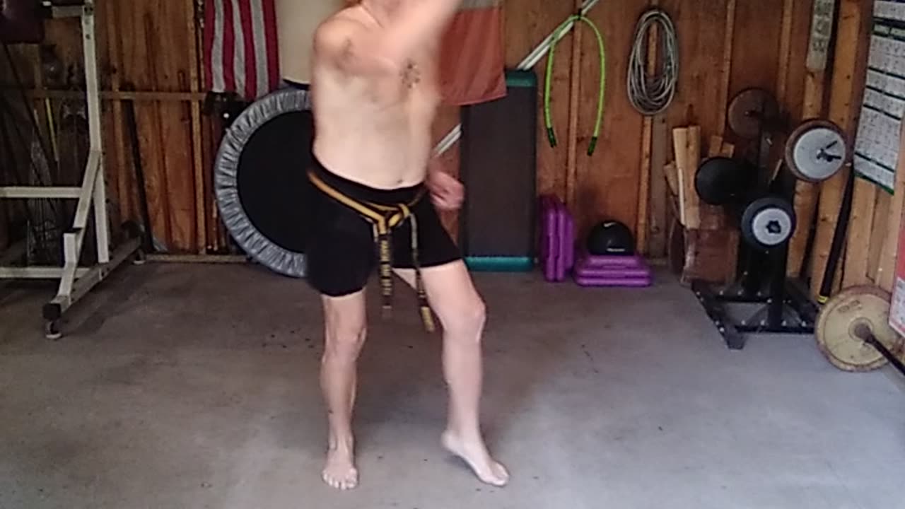 Orange Tiger Form Breakdown #1 , After a 2 hour work out in 101F real feel !!!