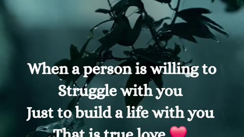 Motivational quotes