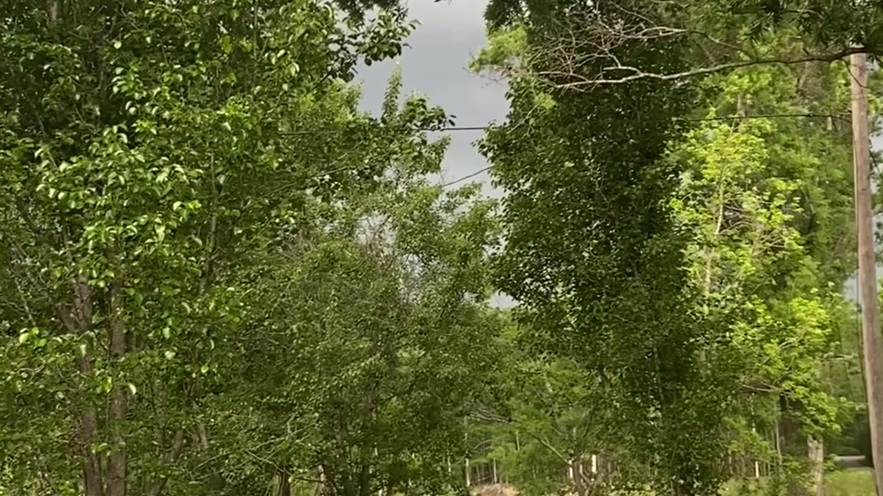 Server Thunderstorm