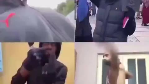 We are lucky to have these talents in Europe.