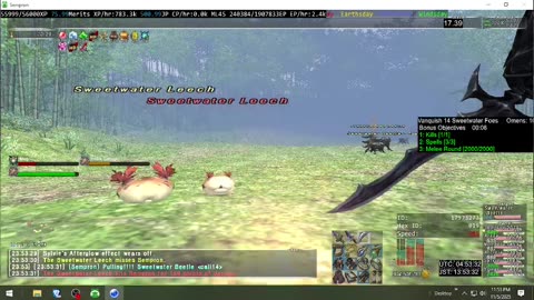 Playing Final Fantasy XI Online