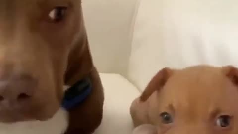 Meeting Your Replacement