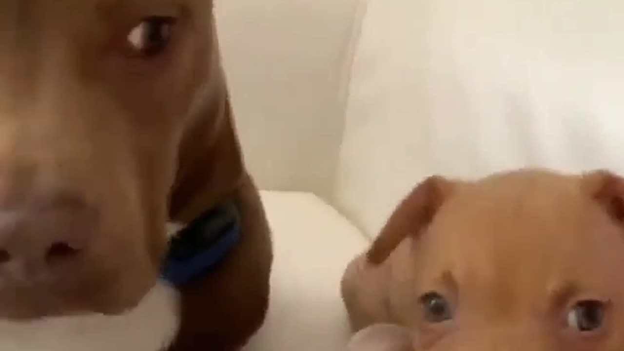 Meeting Your Replacement