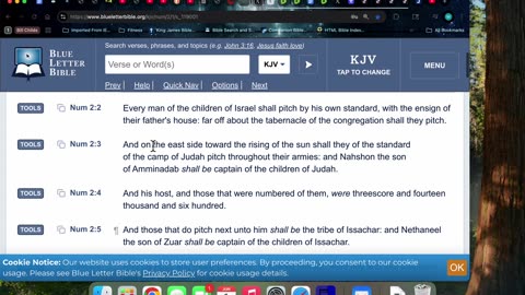 6/1/25 Rev 4:6-7 is connected to Numbers 2 & Job 38:31-32 but why?