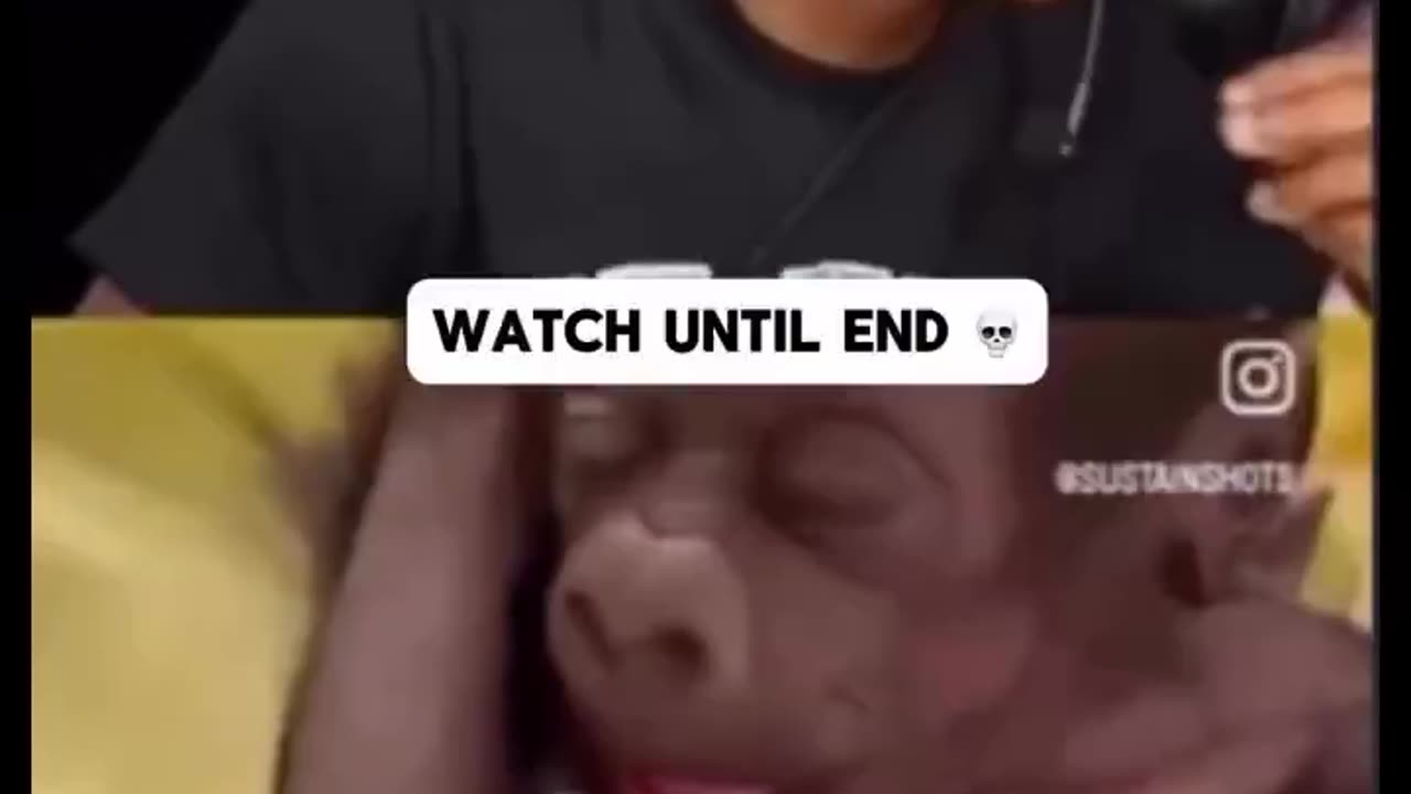 How They Grow Up