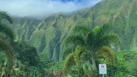 Oahu,Hawaii 🤩🤩🤩