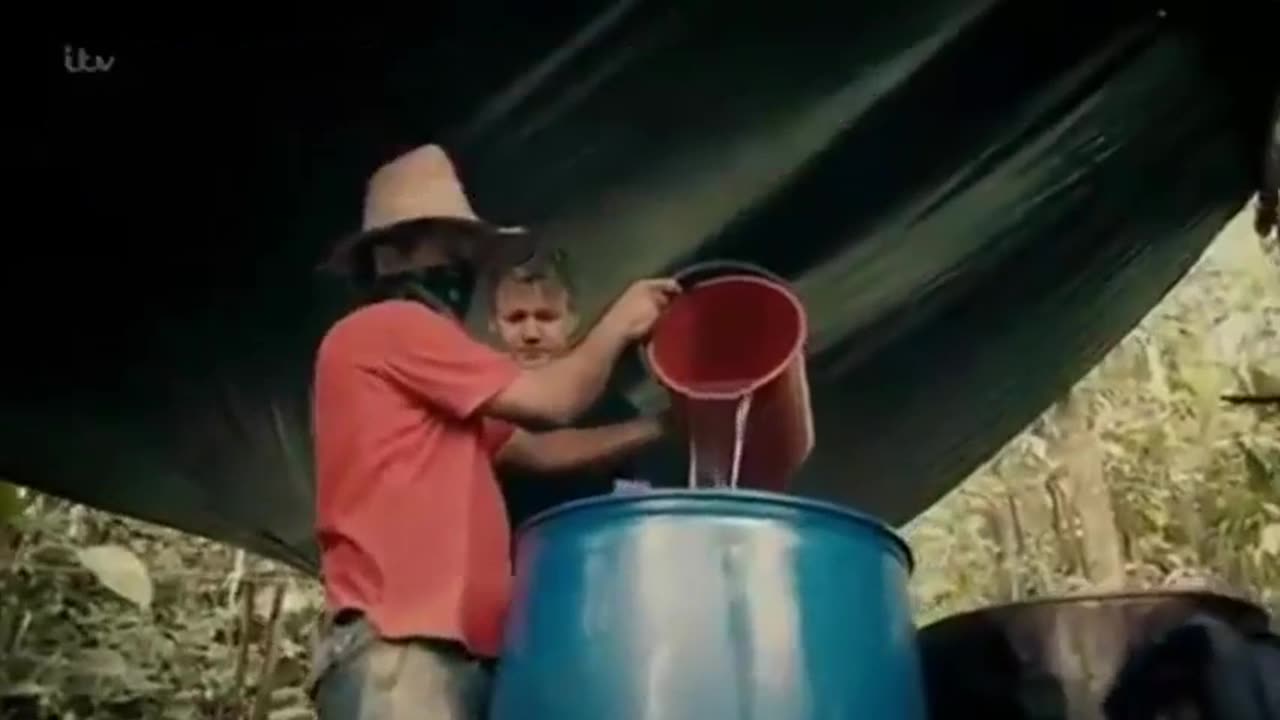 How Cocaine Is Made