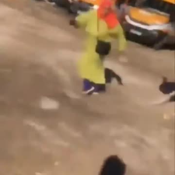 Islamophobic ostrich.