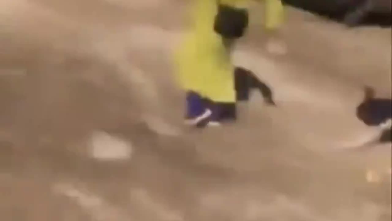 Islamophobic ostrich.