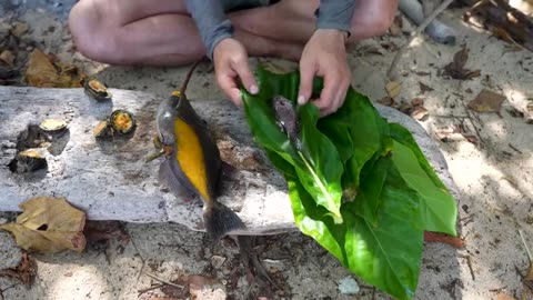 5 Days Solo Island Survival No Food, Water, or Shelter_part7