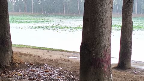 Rain over ao bà Om