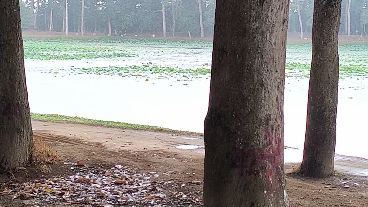 Rain over ao bà Om