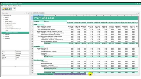 Divisional Profit & Loss