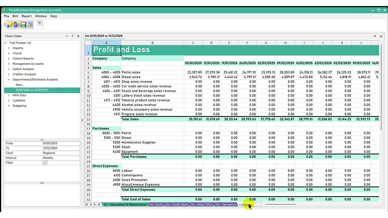 Divisional Profit & Loss