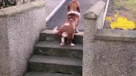 🤣🍑 Wait Till You See This Big Ass Moment! | FunFM