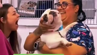 Littels Dog's Comedy Videos 🤣 so cute videos 😍 funny videos 🤣 so cute picture 😍