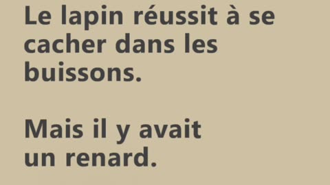Lapin sauvage et renard - Huhito Fables-Version française Vol.25