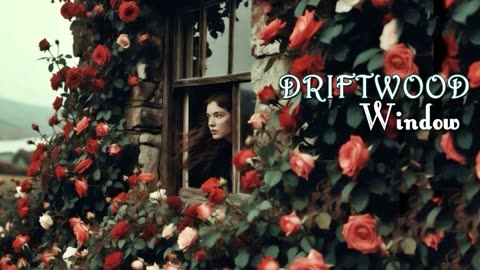 Driftwood - Window