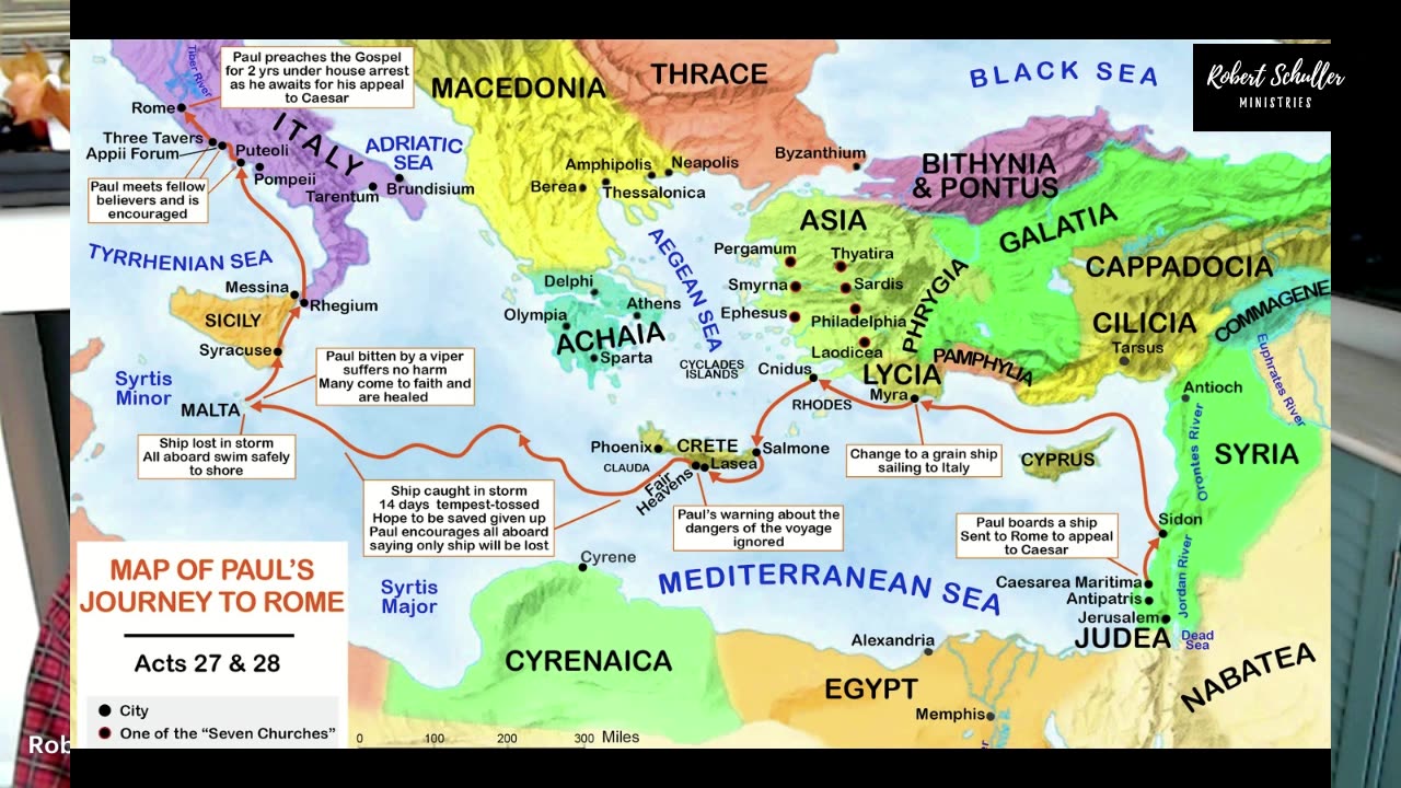 Through The Storms We Flourish