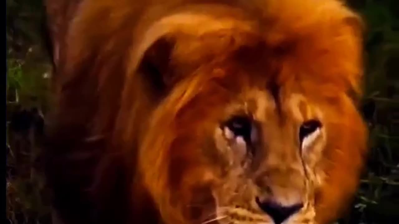 Nada pode mudar o amor de Deus na sua vida!