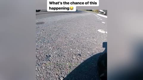 Funny Videos 2025 😂 Try Not To Laugh Challenge (Impossible!)