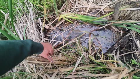 July 16, 2025 - Beaver Trapping And Justin Sutton & North Of 49 Concert