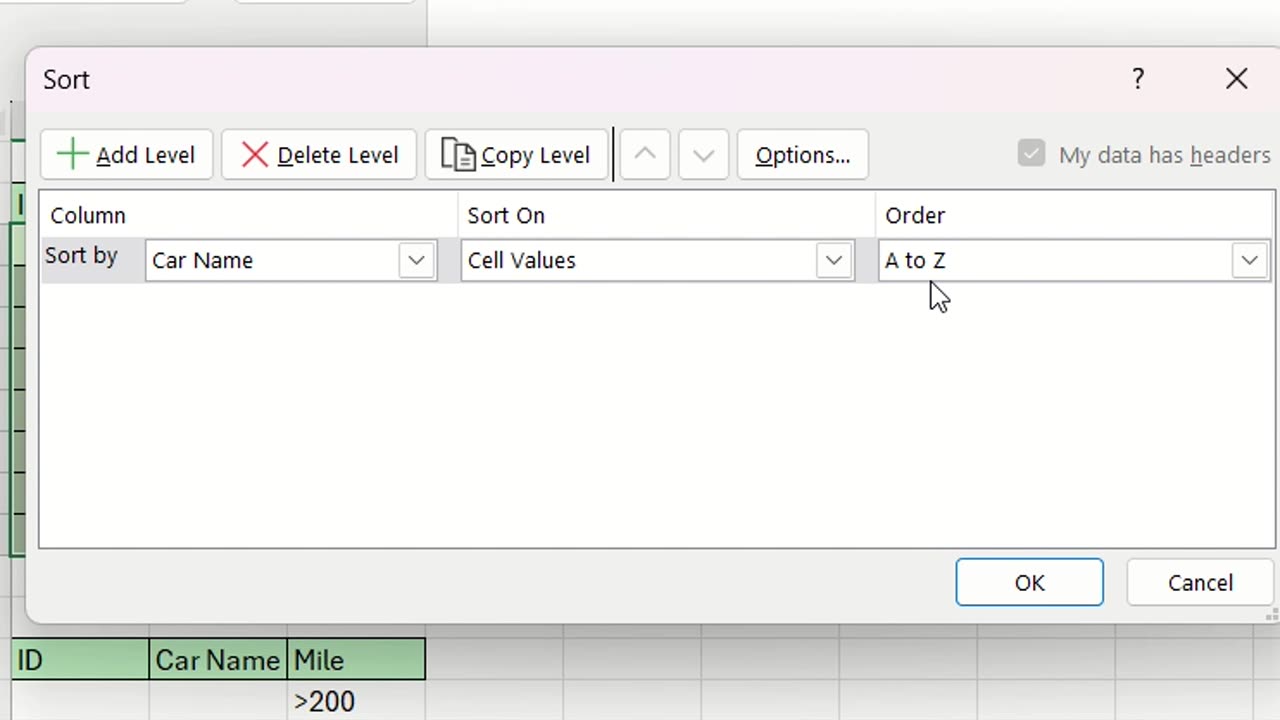 Microsoft Excel: How to use filter and sort from basic to advanced level, use Conditional Formatting