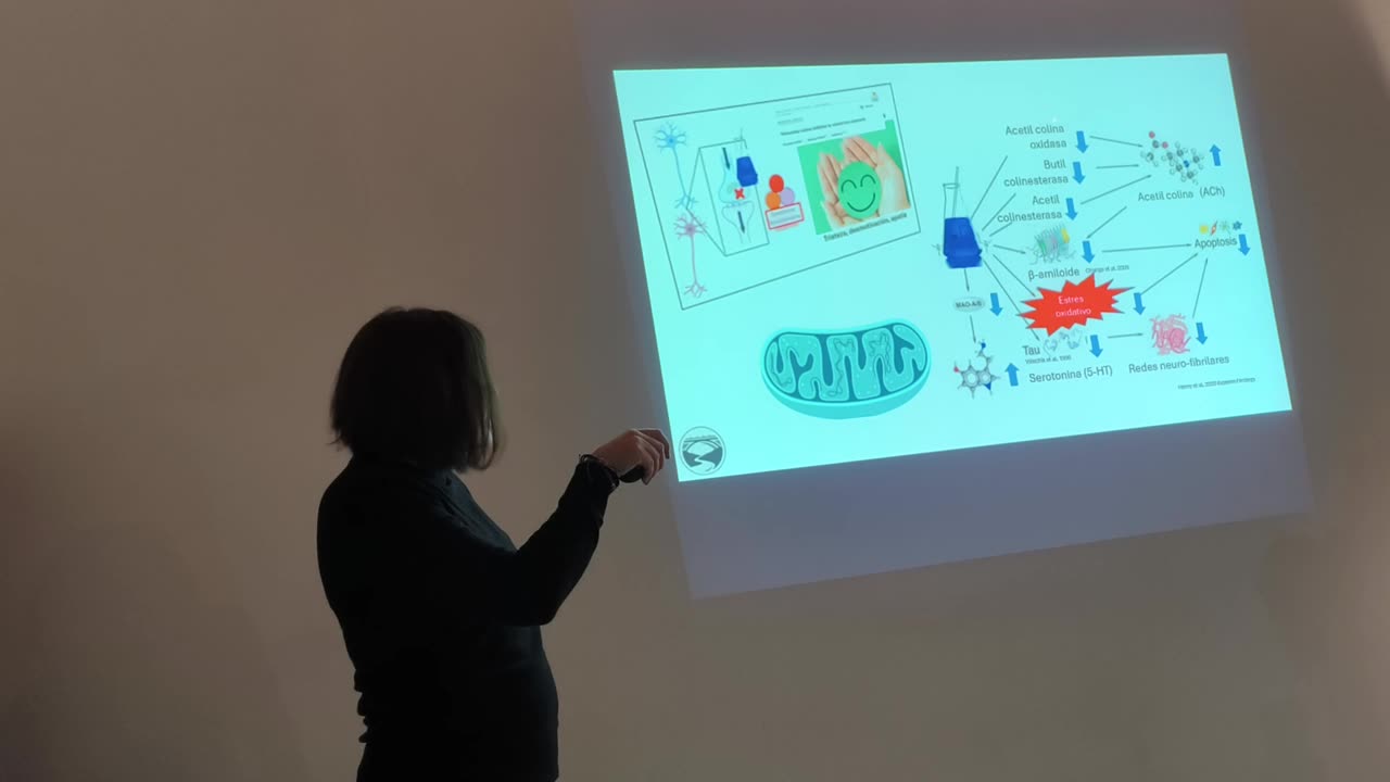 Puente Biológico - El Azul de Metileno - Dra. Karina Acevedo