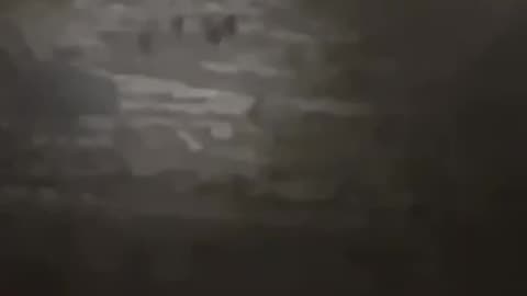 Israeli settlers are deliberately cutting down trees belonging to Palestinian farmers