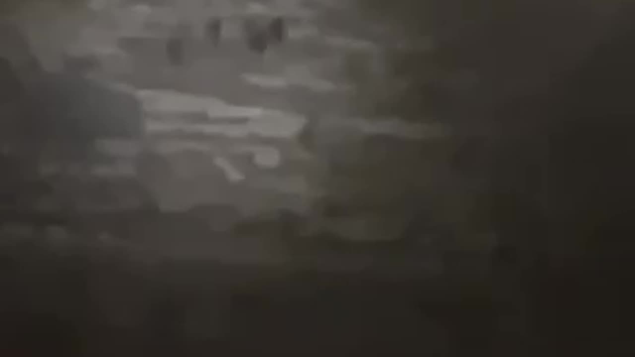 Israeli settlers are deliberately cutting down trees belonging to Palestinian farmers