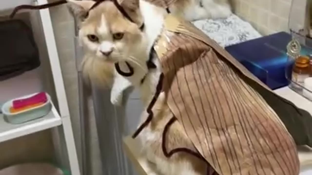 New species the super giant beetle 🤣