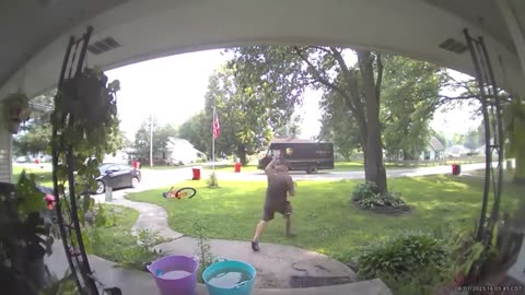 Delivery Drivers vs Animals | When Things Go Wrong