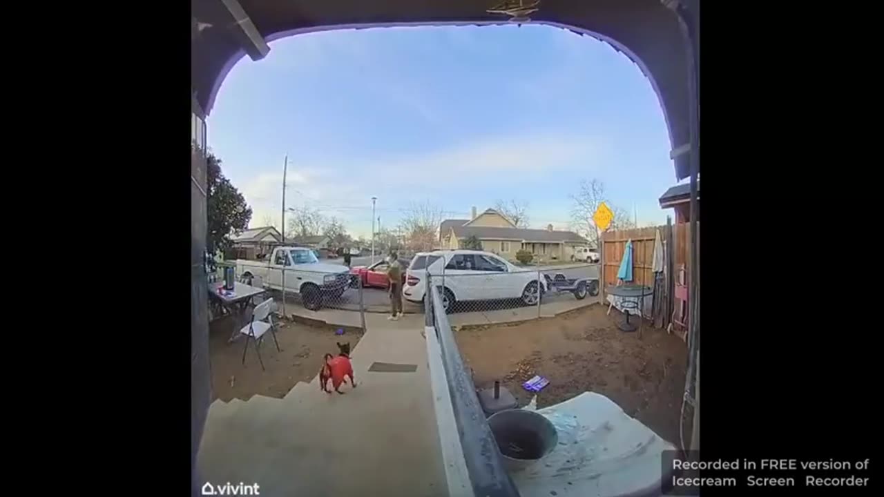 NIGGERS BE CRAZY AS FUCK 🐒🔫🐒🔫