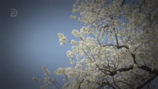 The Basis for Righteous Living | Derek Prince