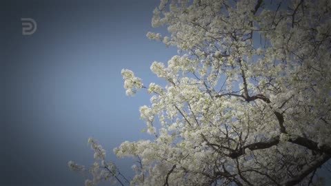 The Basis for Righteous Living | Derek Prince