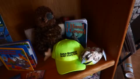 Another shot of the book